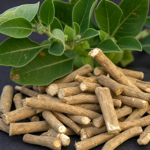 ASHWAGANDHA (KSM-66)