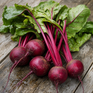 BEETROOT EXTRACT